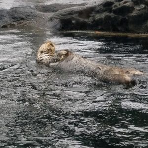 Meet your Posher, Sally